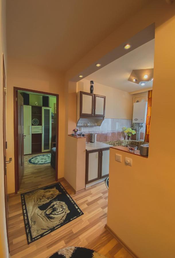 Apartament Cristian Geoagiu Băi المظهر الخارجي الصورة