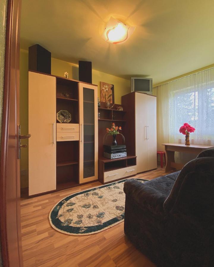 Apartament Cristian Geoagiu Băi المظهر الخارجي الصورة